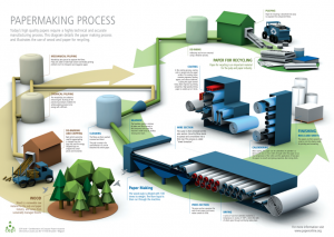 Paper production line